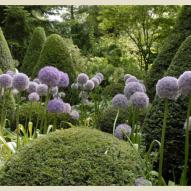 Les jardins d'agapanthe - Vert-Pomme, gîtes de charme en Normandie
